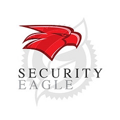 security logo design